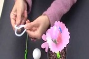 פרחי ביצים